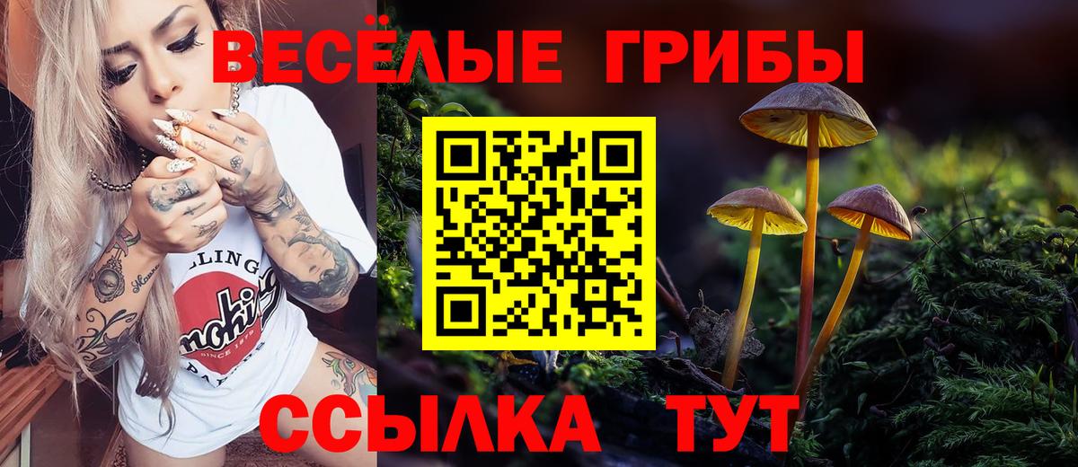 Усть-Джегута  Псилоцибиновые грибы Psilocybe  Вход с VPN 